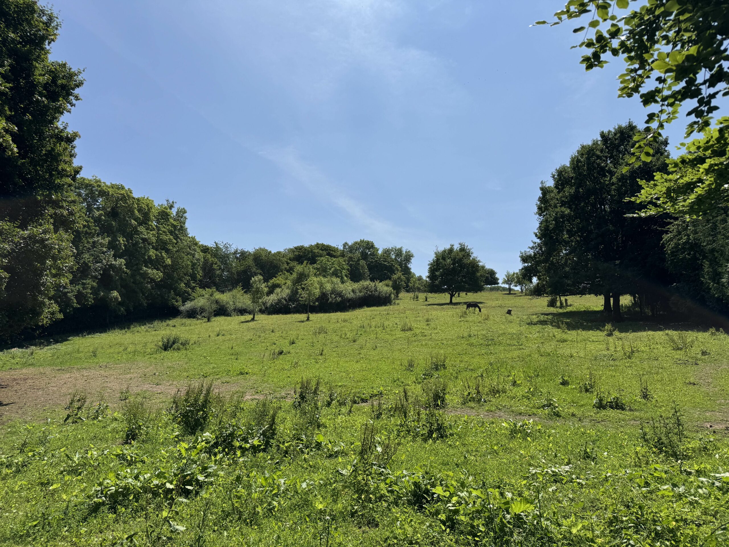 Terrain à bâtir de 18 ares en impasse avec orientation SUD arrière !